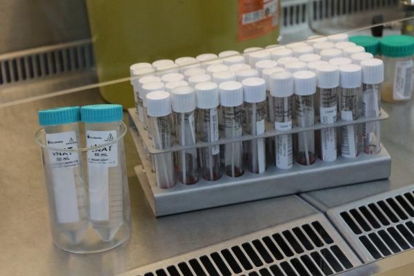 Uzmanlardan 2 il için kritik uyarı