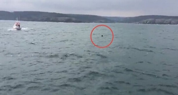 Foto - Uzmanlardan Boğaz için kritik öneri