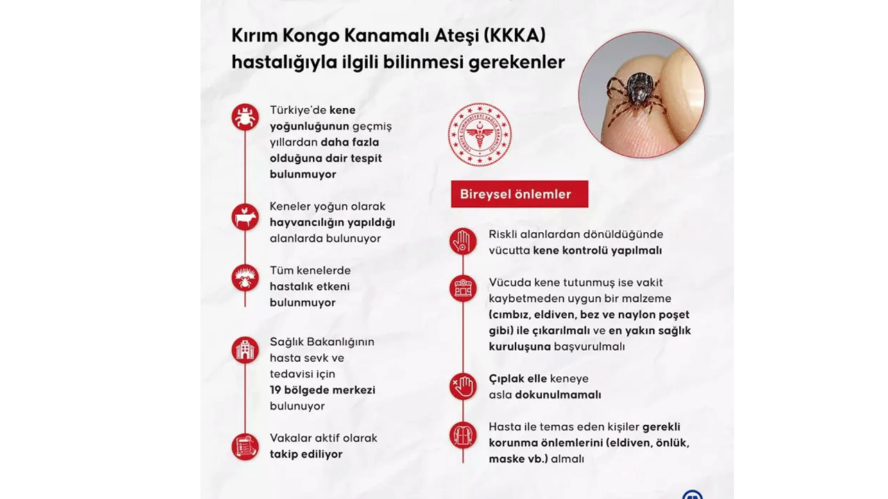 Foto - Uzmanlardan dikkat çeken kene uyarısı: Sakın bunu yapmayın!