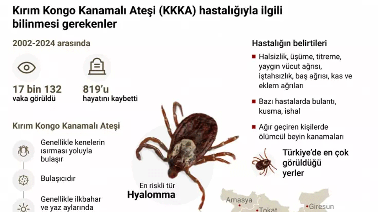 Foto - Uzmanlardan dikkat çeken kene uyarısı: Sakın bunu yapmayın!