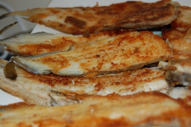 Foto - Uzmanlardan önemli uyarı! Bu balıklara aman dikkat! Zehir saçıyor