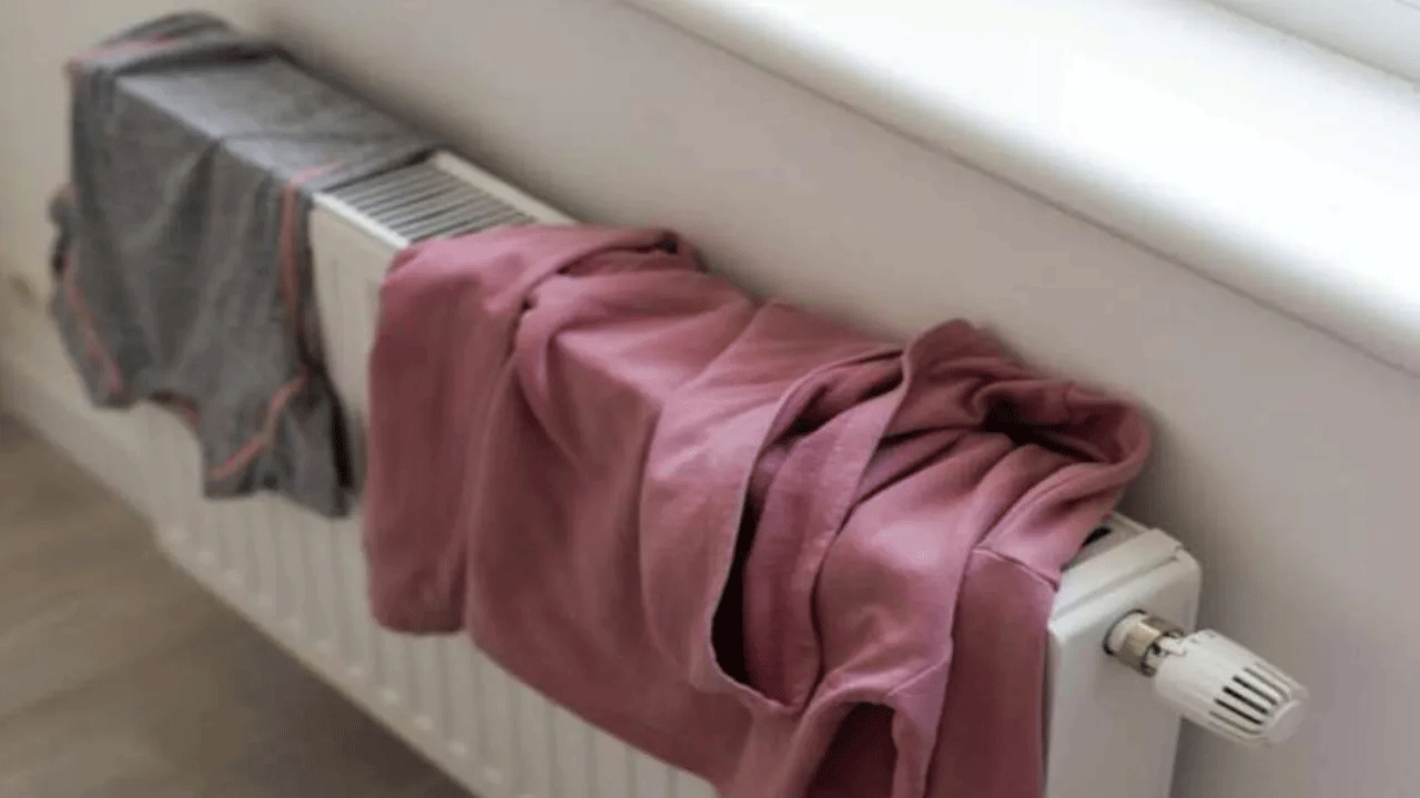 Foto - Uzmanlardan uyarı geldi! Peteğin üstüne çamaşır asınca bakın ne oluyor!