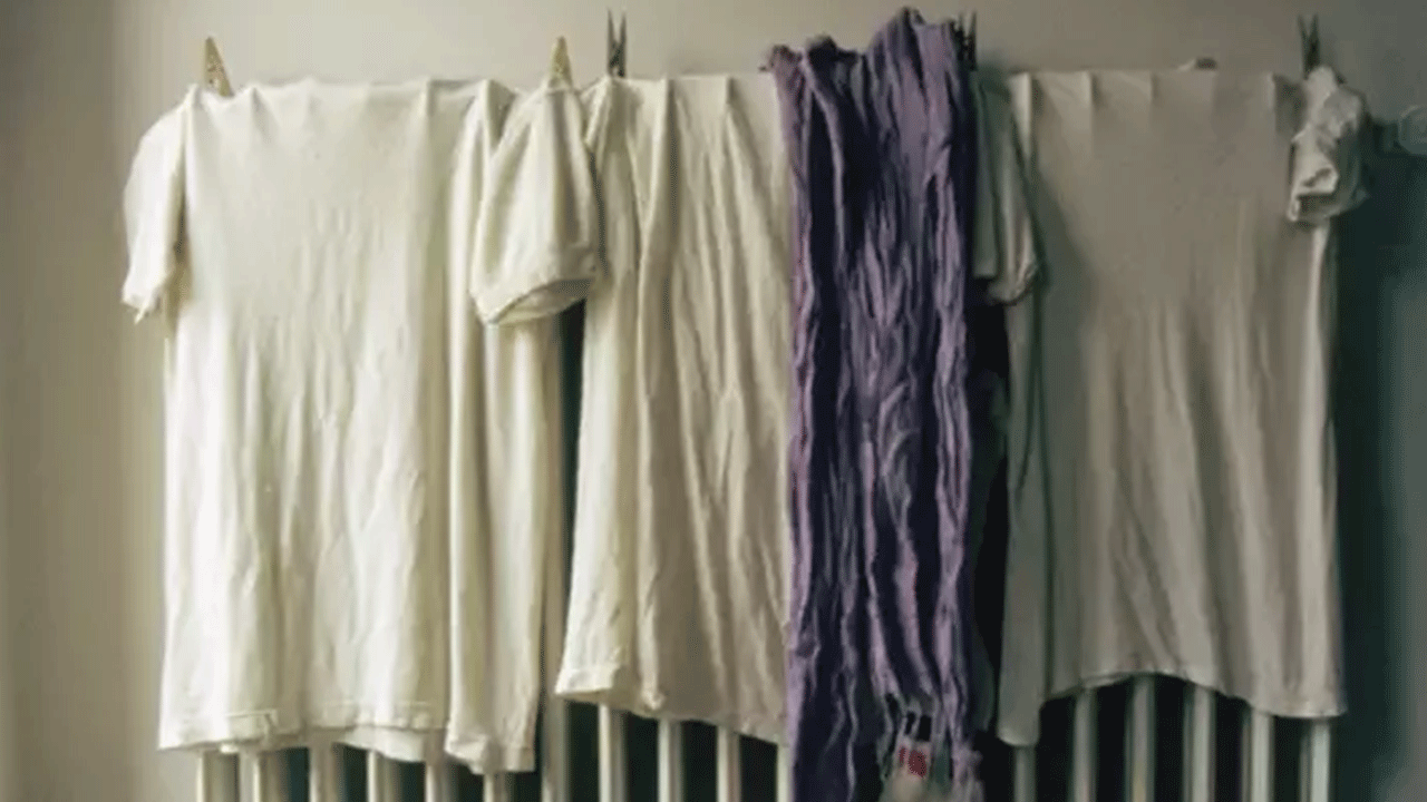 Foto - Uzmanlardan uyarı geldi! Peteğin üstüne çamaşır asınca bakın ne oluyor!