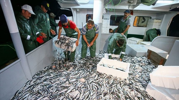 Foto - Uzmanlardan uyarı geldi! Kışın balık tüketmek bakın neye iyi geliyor