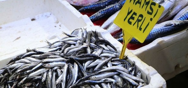Foto - Uzmanlardan uyarı geldi! Kışın balık tüketmek bakın neye iyi geliyor