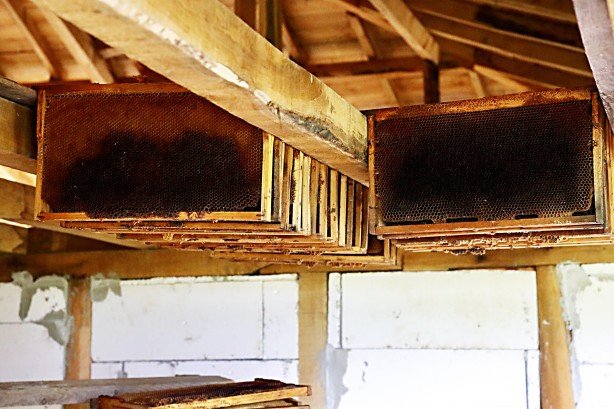 Foto - Uzmanlardan uyarı geldi... Şimdi kestane balı zamanı.. Fiyatları belli oldu!