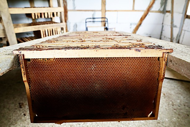 Foto - Uzmanlardan uyarı geldi... Şimdi kestane balı zamanı.. Fiyatları belli oldu!