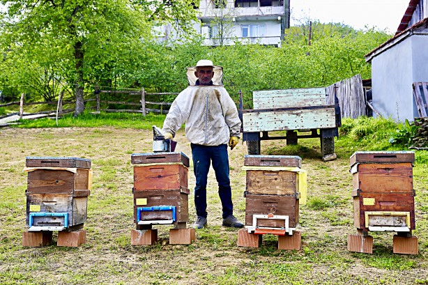 Foto - Uzmanlardan uyarı geldi... Şimdi kestane balı zamanı.. Fiyatları belli oldu!