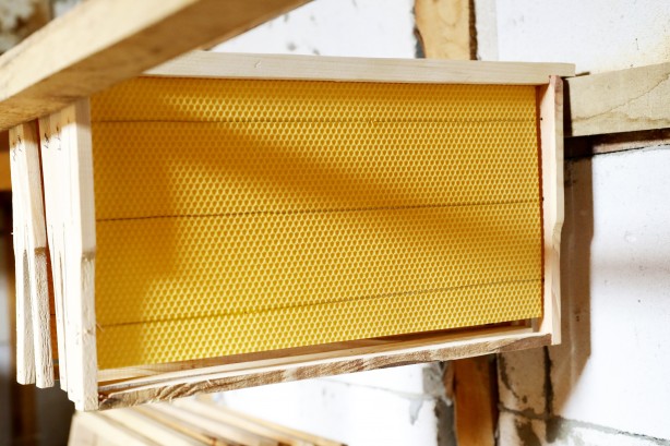 Foto - Uzmanlardan uyarı geldi... Şimdi kestane balı zamanı.. Fiyatları belli oldu!