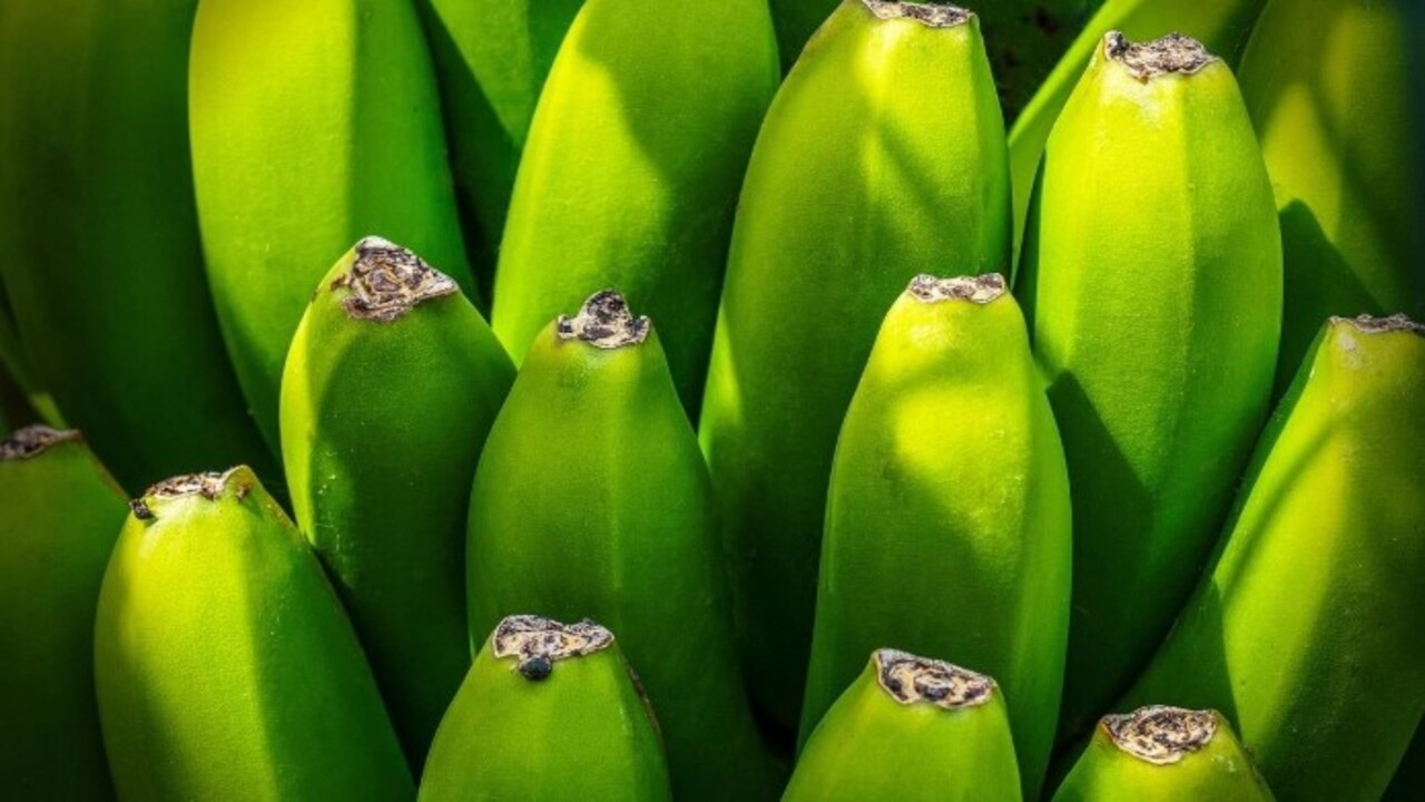 Foto - Uzmanların araştırması şaşırttı! Günde 1 adet yeşil muz tüketmek bakın hangi hastalığa iyi geliyor