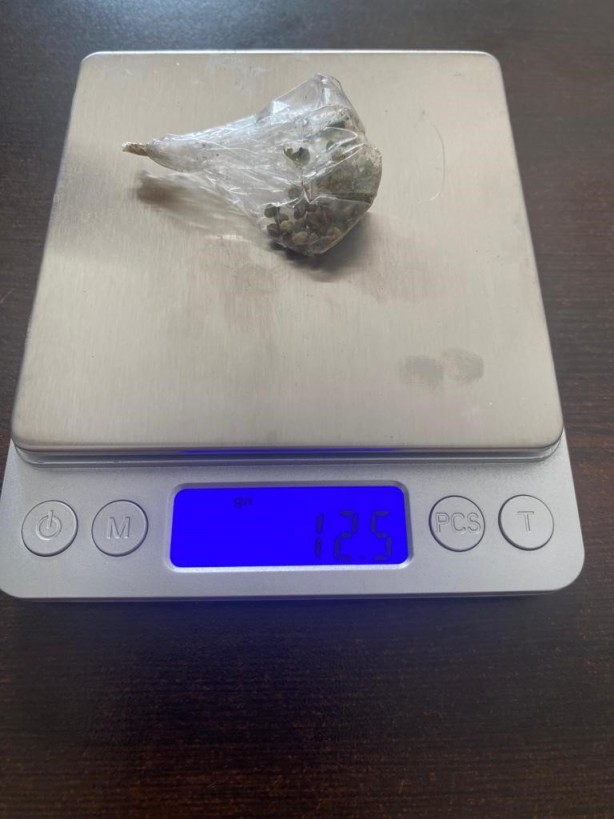 Foto - Üzüm bağında Hint keneviri yetiştirdi