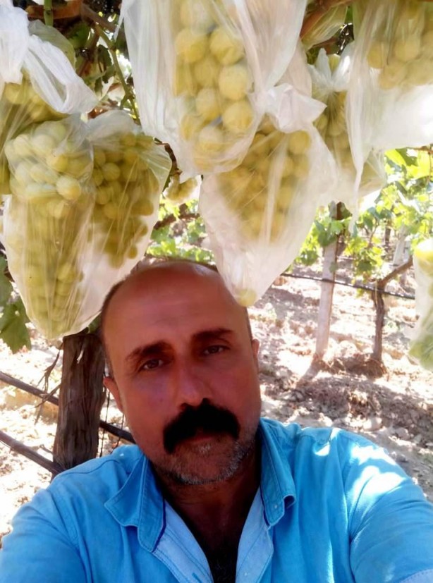 Foto - Üzüm bağındaki 4 bin salkımı poşetlerle kapladı