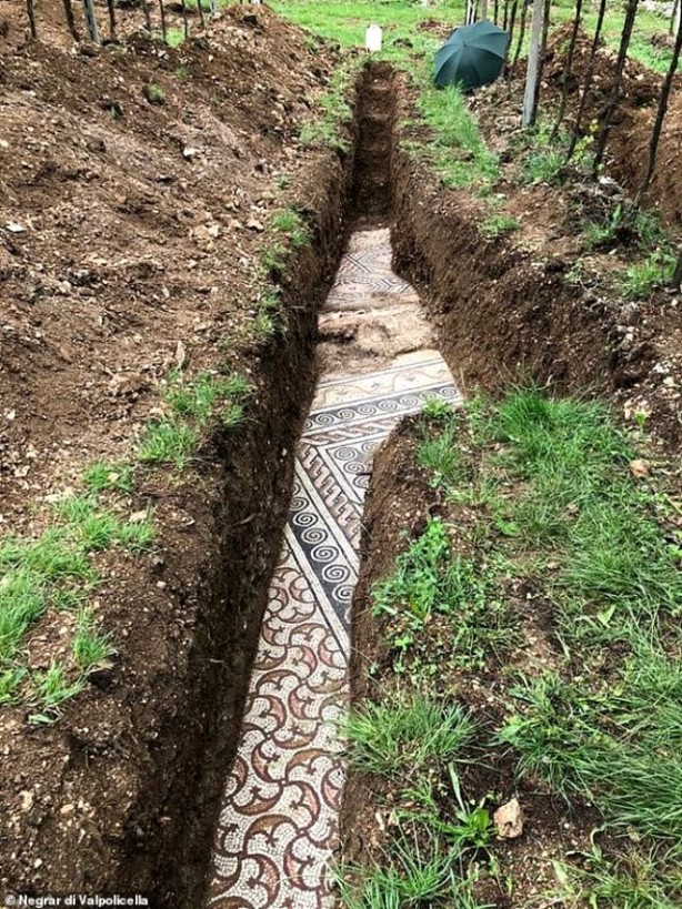 Foto - Üzüm bağının altından 1700 yıllık tarih çıktı