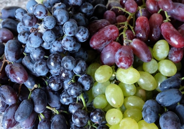 Foto - Üzüm çekirdeği deyip geçmeyin!