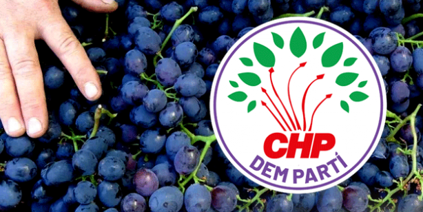 Üzüm üzüme baka baka kararırmış! CHP de kararmaya başladı