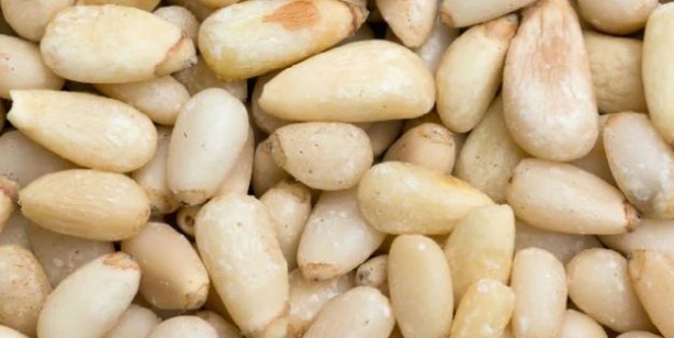 Foto - Uzun ömrün sırrı İbn-i Sina’nın kitabından çıktı! 