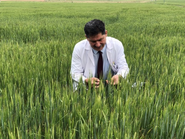 Foto - Uzun süre sonra güzel haber! Türkiye büyük bir dertten kurtuldu