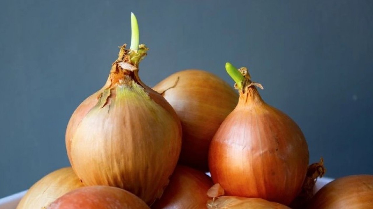 Foto - Uzun süre taze kalacak! Soğanları filizlenmeden saklamanın kolay yolu