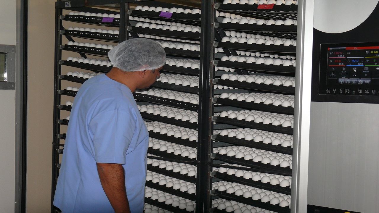 Foto - Uzun süredir direniyorlardı ama nafile! Avrupa ülkeleri Türkiye’den almaya karar verdiler