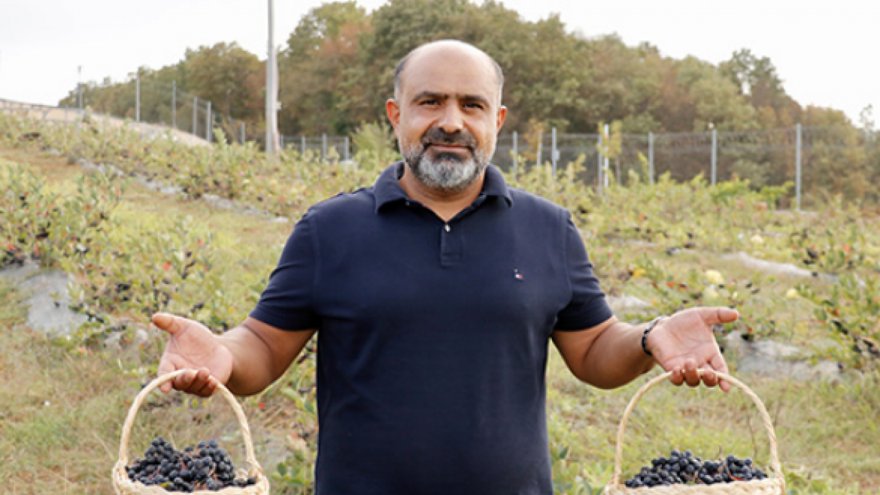 Foto - Uzun süren mide rahatsızlığına iyi gelen aronya yeni gelir kapısı oldu! 1 yıl sonra ilk hasadını gerçekleştirdi