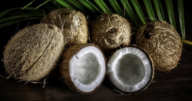 Foto - Uzun ve kaliteli yaşamın sırlarını açıkladılar