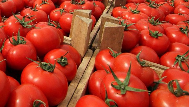 Foto - Uzun ve kaliteli yaşamın sırlarını açıkladılar