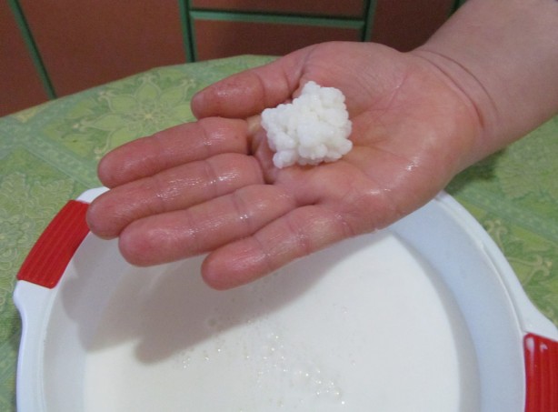 Foto - Uzun yaşamanın formülünü açıklıyoruz! 'Peygamber Danesi' olarak biliniyor! Tüketenler sağlıklı bir ömür sürüyor! 