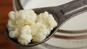 Foto - Uzun yaşamanın formülünü açıklıyoruz! 'Peygamber Danesi' olarak biliniyor! Tüketenler sağlıklı bir ömür sürüyor! 