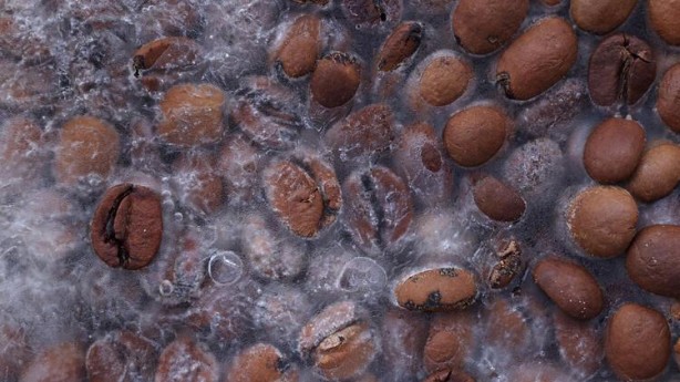 Uzun yaşamanın sırrı bu besinlerde! Ölüm riskini yüzde 30 düşürüyor