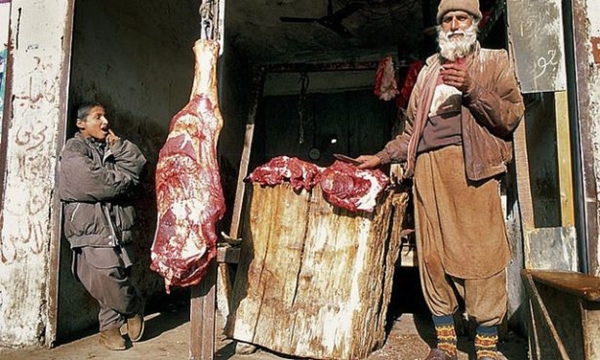 Foto - Uzun yaşamın asıl sırrı onlarda