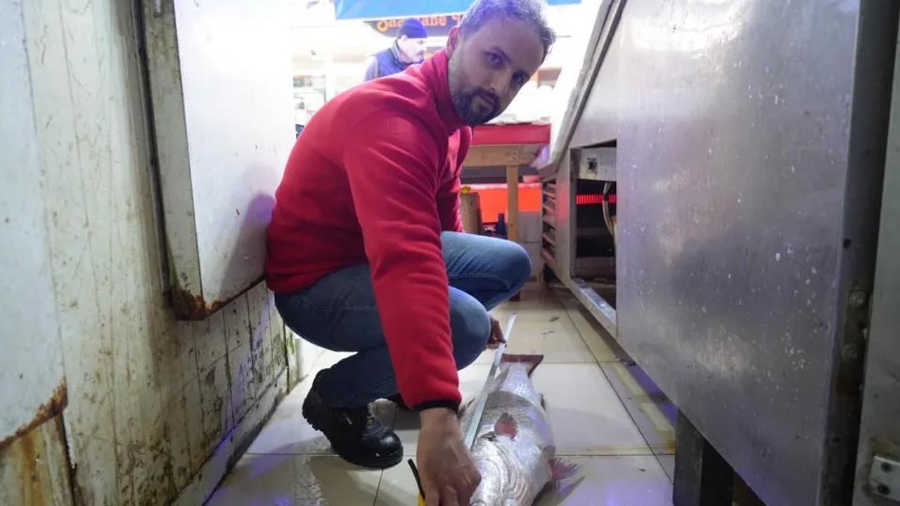 Foto - Uzun zamandır görülmemişti! 10 dakika içinde 6 bin TL'ye satıldı