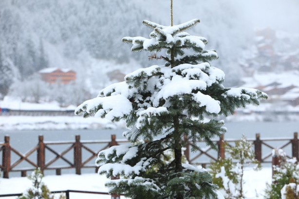 Foto - Uzungöl beyaza büründü! Kartpostallık görüntüler