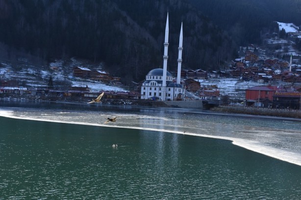 Foto - Uzungöl'ün bir kısmı buz tuttu