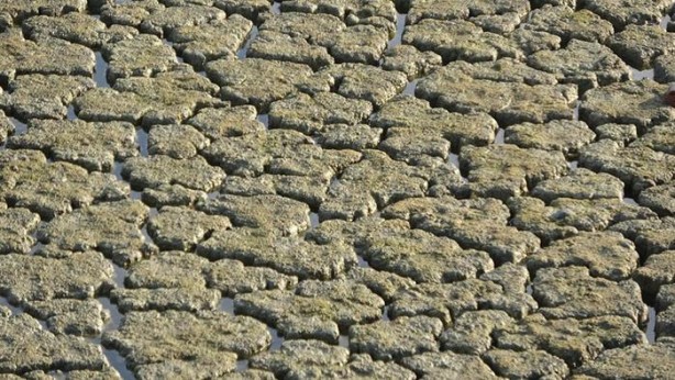 Foto - Uzunhızırlı Göleti kurudu, kuşlar bölgeyi terk etti