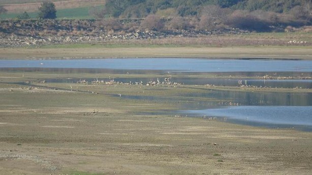 Foto - Uzunhızırlı Göleti kurudu, kuşlar bölgeyi terk etti