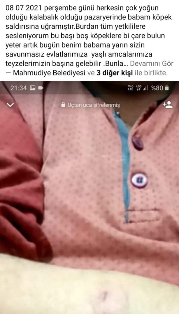 Foto - Vahşet! Aç kalan köpekler atları parçaladı