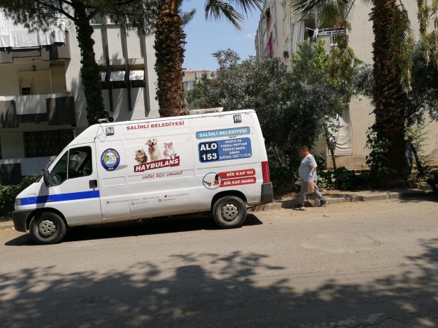 Foto - Vahşet! Sitede kedi köpek katliamı... Feci şekilde öldürüldüler