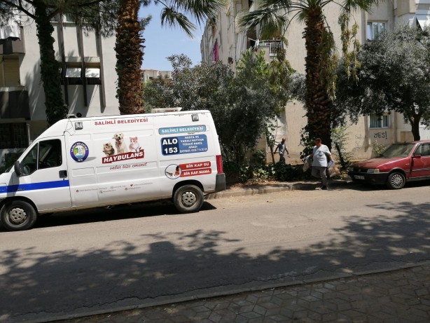 Foto - Vahşet! Sitede kedi köpek katliamı... Feci şekilde öldürüldüler