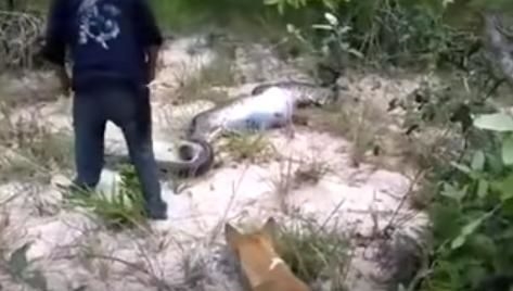 Foto - Vahşi doğadan fotoğraflar