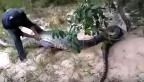 Foto - Vahşi doğadan fotoğraflar