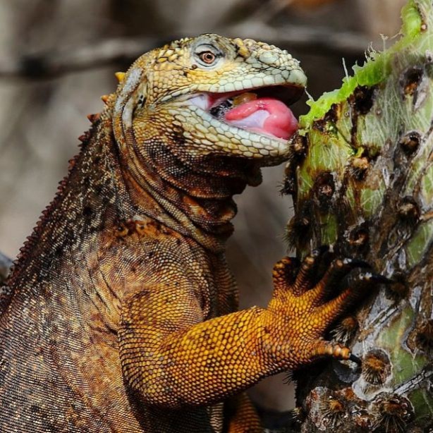 Foto - Vahşi doğadan harika kareler