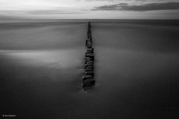 Foto - Vahşi doğadan ilginç kareler 