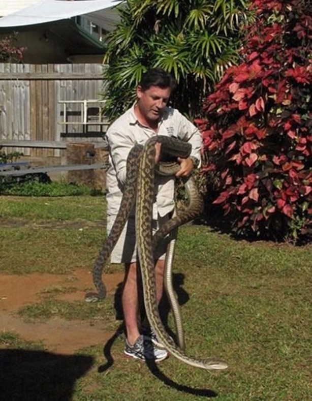 Foto - Vahşi doğadan inanılmaz kareler!