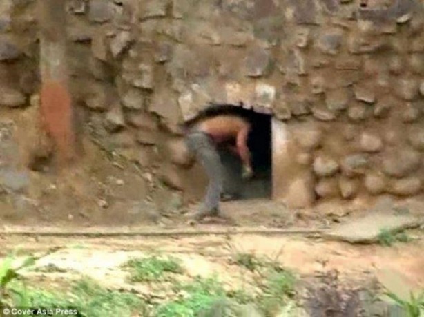 Foto - Vahşi doğanın acımasızlığı!