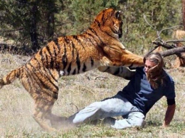 Foto - Vahşi doğanın acımasızlığı!