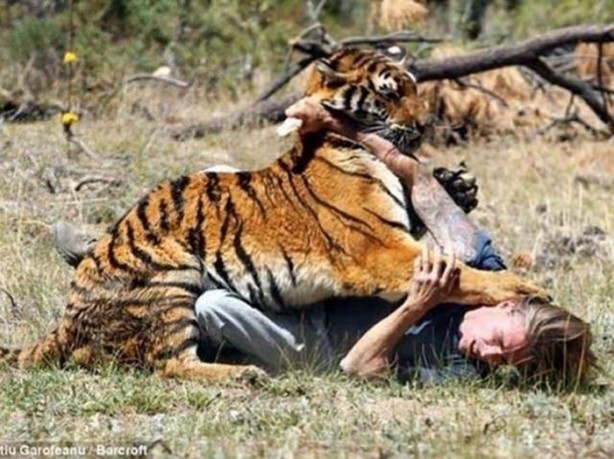 Foto - Vahşi doğanın acımasızlığı!