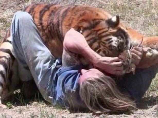 Foto - Vahşi doğanın acımasızlığı!