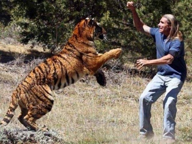 Foto - Vahşi doğanın acımasızlığı!