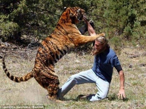 Foto - Vahşi doğanın acımasızlığı!