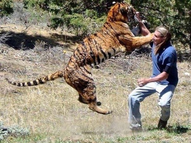 Foto - Vahşi doğanın acımasızlığı!